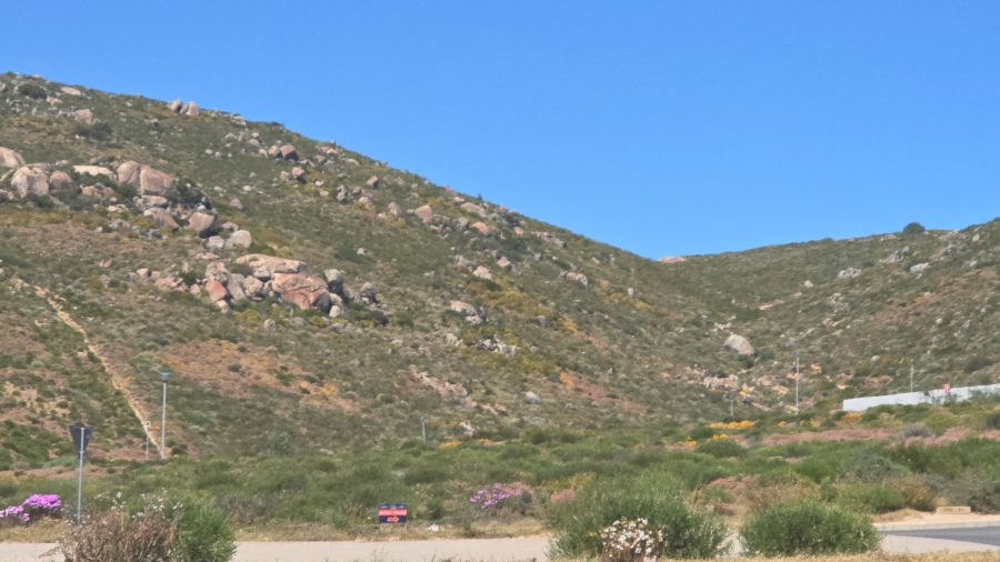 0 Bedroom Property for Sale in St Helena Views Western Cape